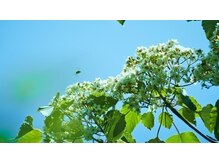 私達は考えました。健やかな美髪は何をもたらすのか。この先のあなたへ。