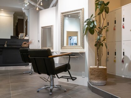 パーフェクトビューティーイチリュウエスエス(perfect beauty ichiryu SS)の写真