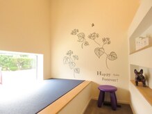 チィ(Chii)の雰囲気（お子様も近くで安心して、待っていただくことができます。）