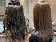 ヘックヘアー(hec hair)