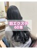 新メニュー! 【 羽エクステ/ハネエクステ 】　60本 ￥48000 → ￥42000 