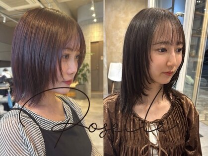 ローゼル(roselle)の写真