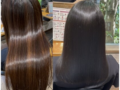 シュール(Sure)の写真