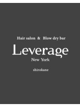 Leverage　白金【リバレッジ】