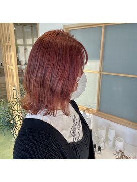 コティ(koti) カシスレッド