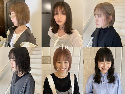 イト(ito)の写真