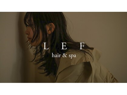 レフ(LEF)の写真