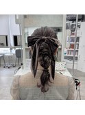 編みおろしポニー