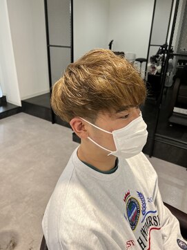 カルロイースタイル(CARLO e-style) ハイトーンベージュ