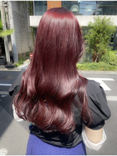 ブリーチなし/レッドカラー/ボルドーカラー/赤髪/レッドブラウン