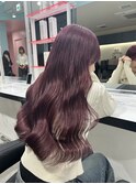 ピンクラベンダー
