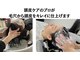アルト(Alto)の写真