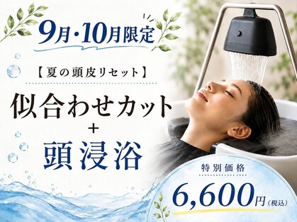 メンズアンドレディース モテナの写真