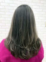 ルピナス(Lupinus)&nbsp;バレイヤージュ