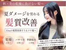 エルサ ザ ビューティー(ELSA the beauty)の雰囲気（秋冬の季節悩みへの対処に髪質改善！［縮毛矯正/三宮髪質改善］）