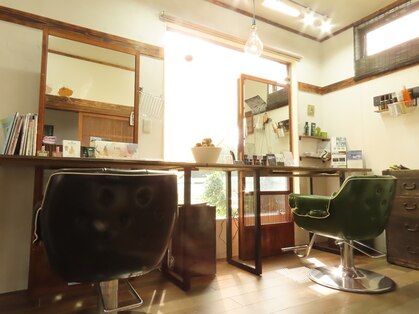 マジカルヘッズ(Magical Heads)の写真