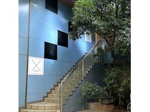 大きな木が目印自然の温もりとと快適な雰囲気が調和した外観。