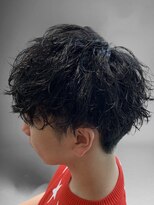 エール(Aile) MEN’SHAIRウルフアッシュブラックカルマパーマベリーショート