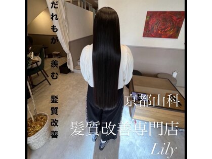 リリー 京都山科店(Lily)の写真
