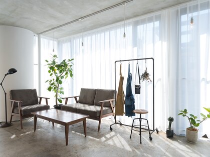 デイ(day)の写真