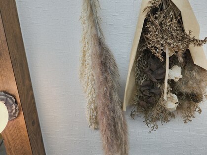 エモーション emotion hairの写真