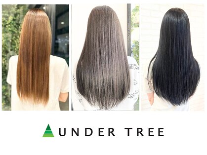 アンダートゥリールーツ(UNDER TREE ROOTS)の写真