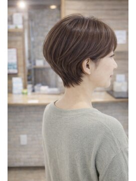 チャウチャウ(Chau Chau) ショート