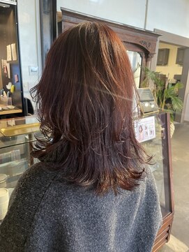 ムード マグ レーベル 南松本(MOOD Mag Label) 20代30代40代バーガンディカラーミディアムウルフ抜け感