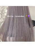 「ホワイトラベンダー」