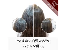 プレイヘアーマイフ(play hair Maif)の雰囲気（【天然100%ヘナ】で、髪と頭皮に優しく染める。自然の髪質改善。）