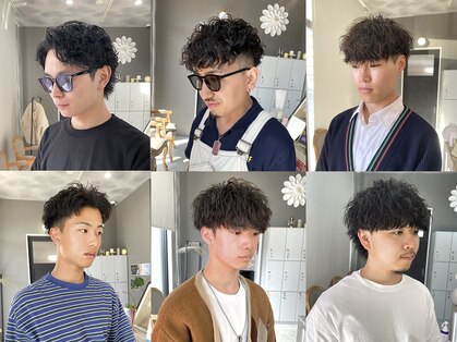 レド(LeDo)の写真