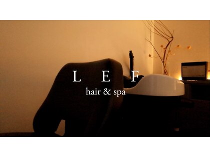 レフ(LEF)の写真