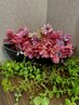 ２回目以降ご来店の カット＋カラー￥14900→￥14160