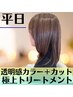 【平日限定】透明感カラー+極上トリートメント+カット ¥9000