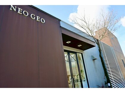 ネオジオ(NEO GEO)の写真