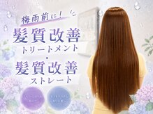 ジエクト ヴィシア(The Ect VIXIA)