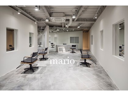 マリオ(mario)の写真