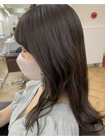 インビテーション(invitation) チョコレートブラウン