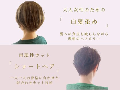 クオン(Quon)の写真