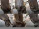 レガロヘアアトリエ(REGALO hair atelier)の写真