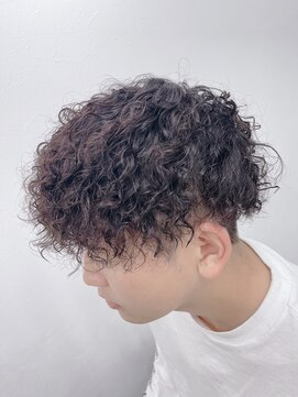 ダンクレスト(Daan Crest) 【プードルパーマ】