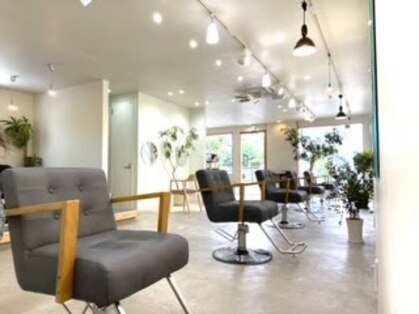 コト(coto)の写真