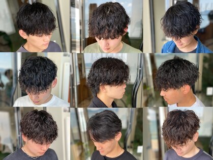 アサクラ シンキタ(ASAKURA SHINKITA)の写真