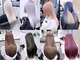 ミンツ(MINTS)の写真