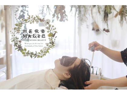 アルブル ヘアデザイン(arbre hair design)の写真