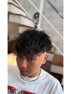 279バーバー(279barber) スペインカール