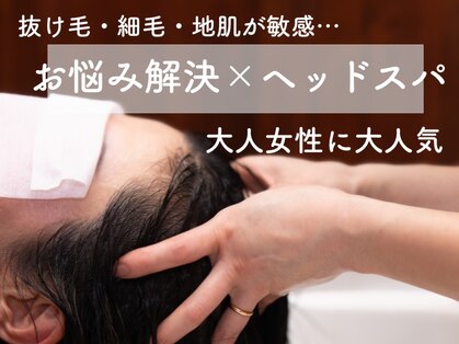 キラ髪の写真