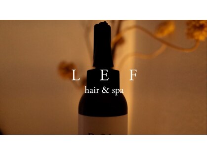 レフ(LEF)の写真