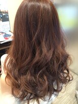 フィゼル 福島店(fizelle)&nbsp;レディーブラウン