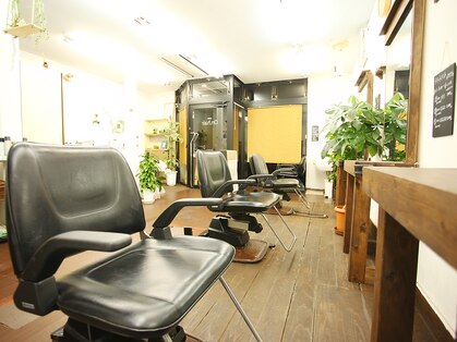 オンヘアー(On-hair)の写真